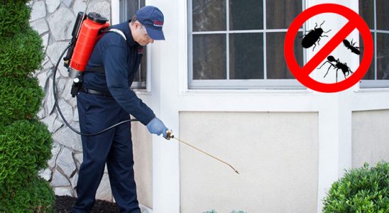Buca Koop Uçan Haşere İlaçlama böcek ilaçlama ve haşere kontrolü — ilaclama-tr.com